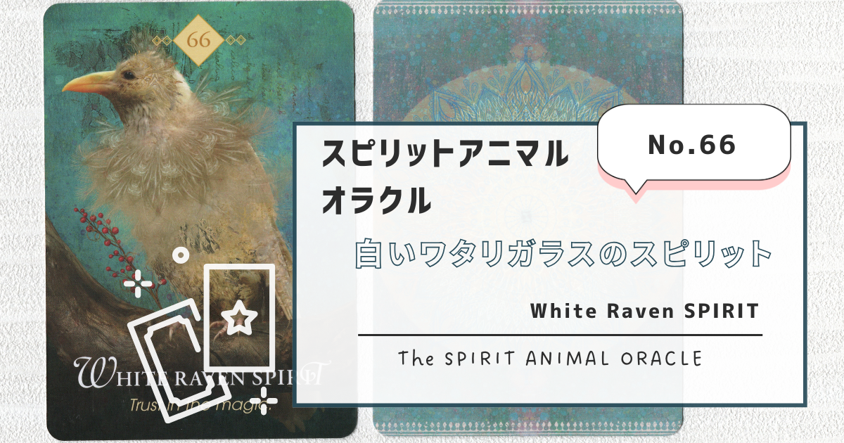 66.White raven SPIRIT(白いワタリガラスのスピリット 66.White raven SPIRIT(白いワタリガラスのスピリット